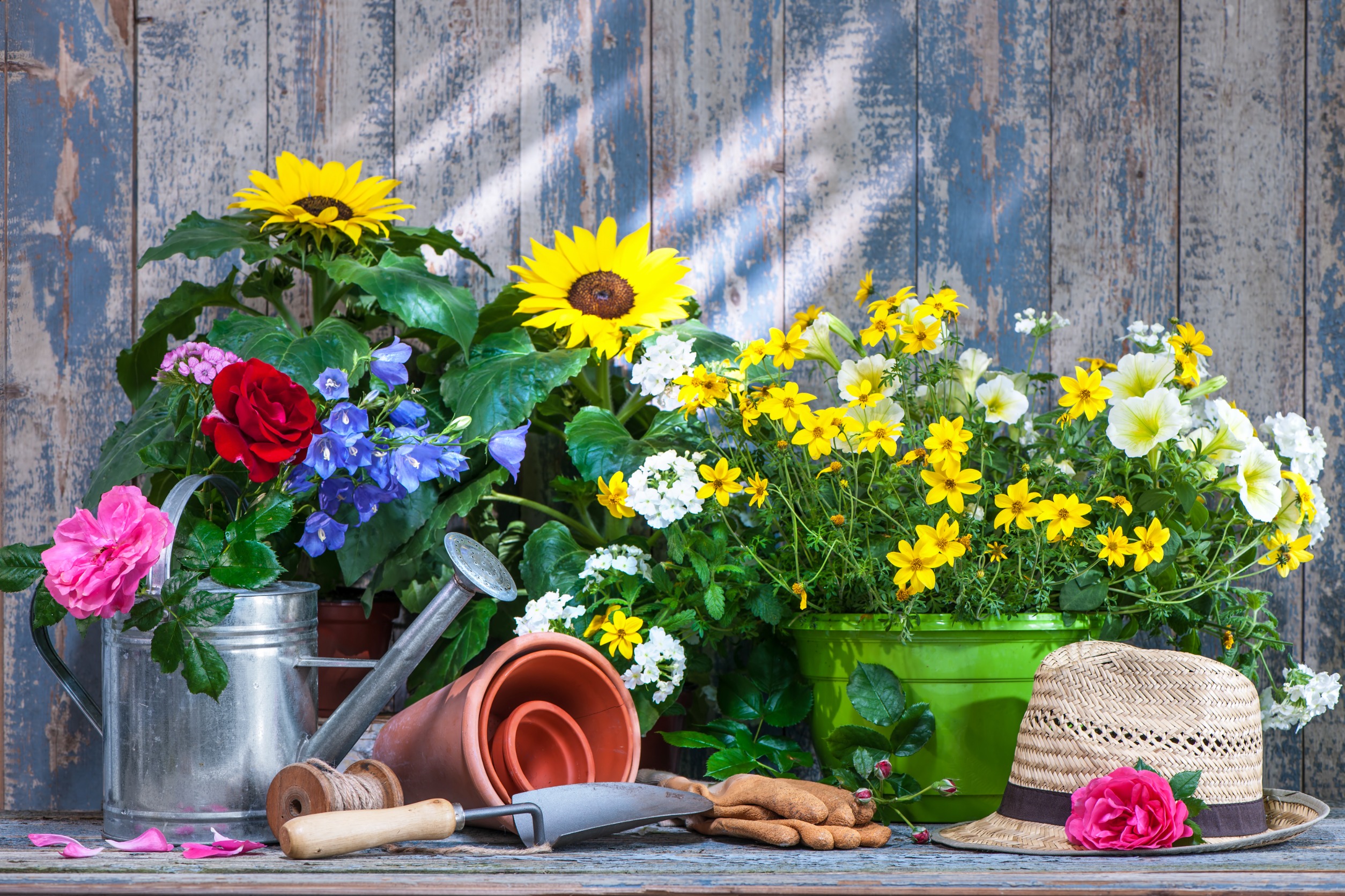 5 Tips to Keep Your Garden Looking Great this Spring and Summer